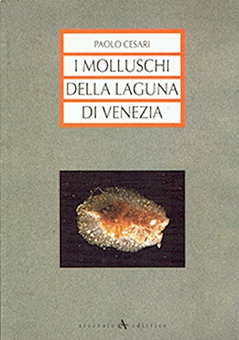 Molluschi della laguna di Venezia