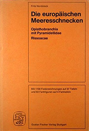 Europaischen Meeresschnecken - Opistobranchia mit Pyramidellidae Rissoacea