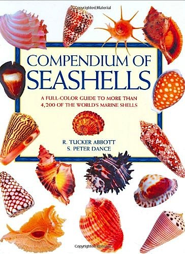 Compendium of seashells