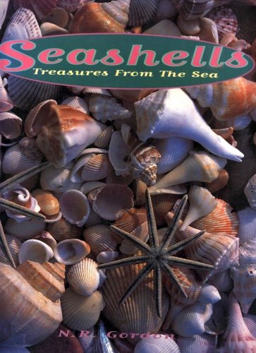 Seashells