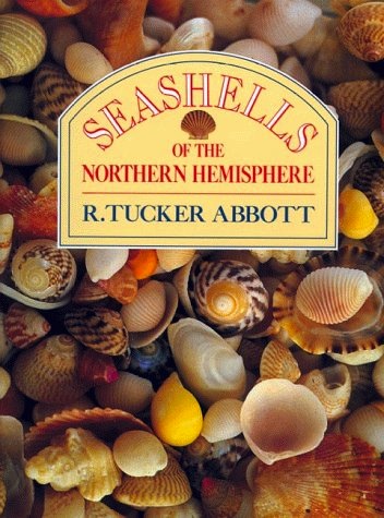 Seashells of the northern emisphere