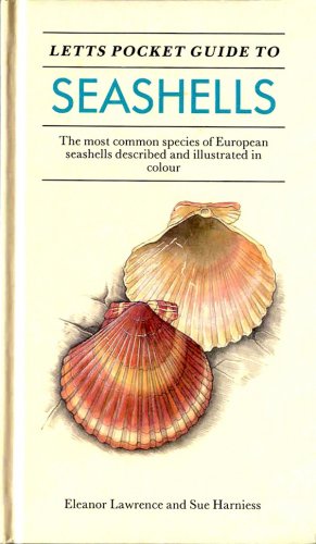 Letts pocket guide to seashells