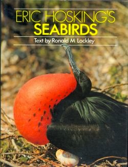 Eric Hosking’s seabirds