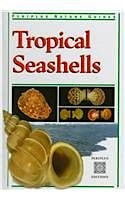 Tropical seashells