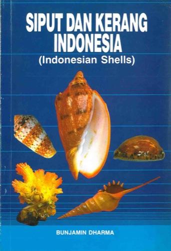 Indonesian shells I