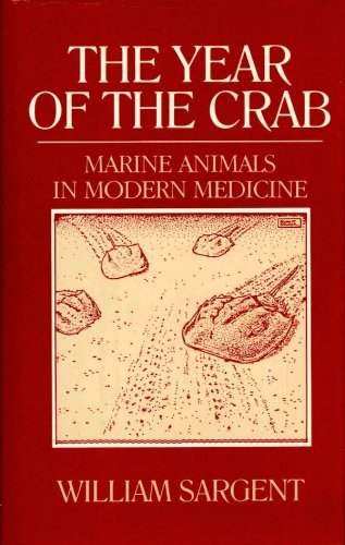Year of the crab