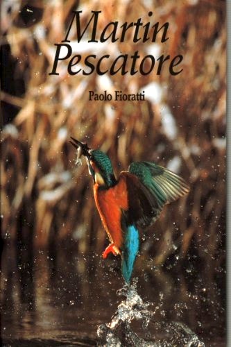 Martin pescatore