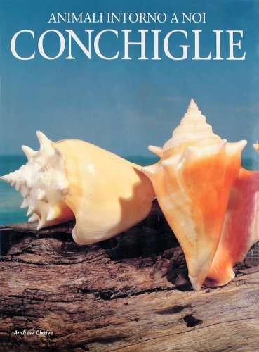 Conchiglie