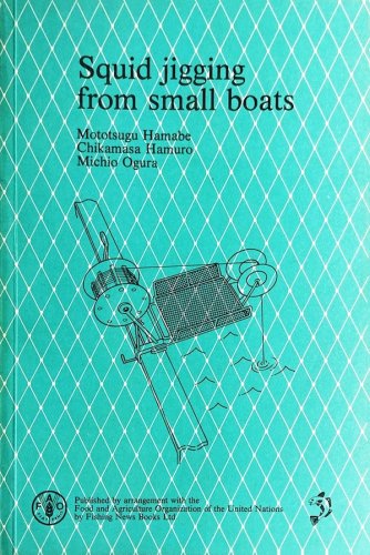 Squid jigging from small boats