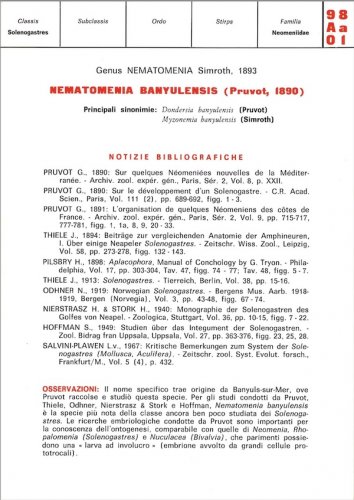 Schede malacologiche - Nematomenia banyulensis