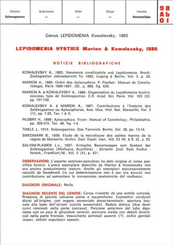 Schede malacologiche - Lepidomenia hystrix