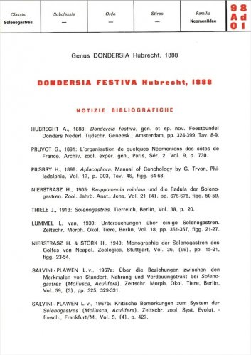 Schede malacologiche - Dondersia festiva