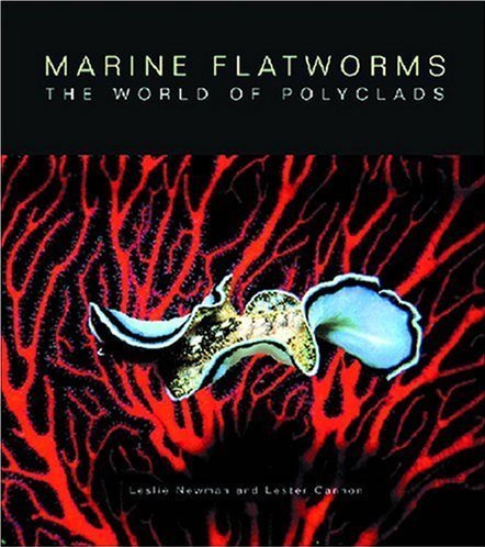 Marine flatworms