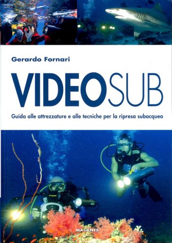 Videosub