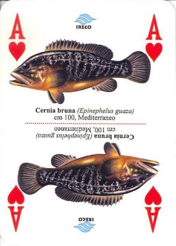 Carte da gioco francesi vari soggetti marini