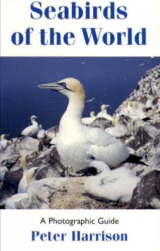 Seabirds of the world