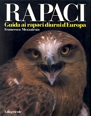Rapaci