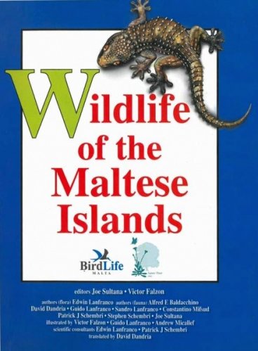 Wildlife of the Maltese islands