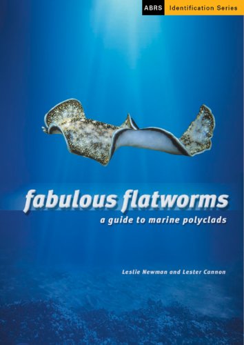 Fabulous flatworms - CD-ROM Mac-Win