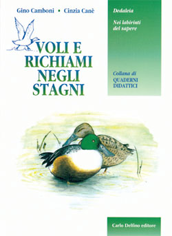 Voli e richiami negli stagni