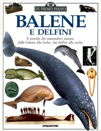 Balene e delfini