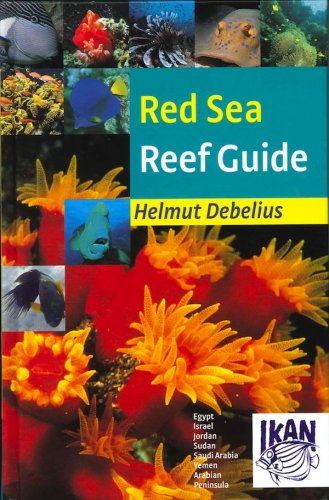 Red Sea reef guide