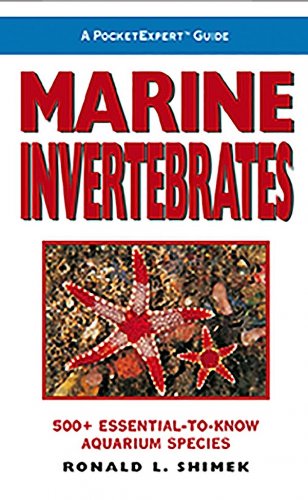 Marine invertebrates