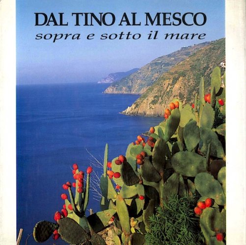 Dal Tino al Mesco