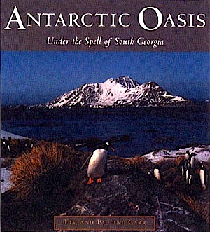 Antarctic oasis