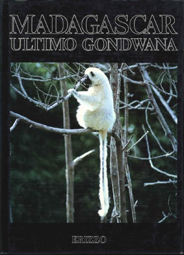 Madagascar ultimo Gondwana