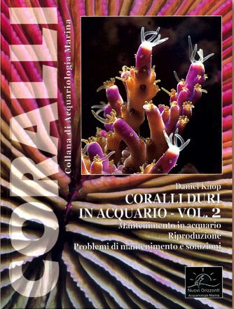 Coralli duri in acquario vol.2