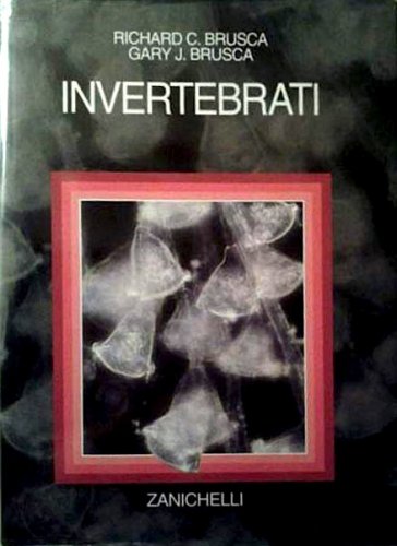 Invertebrati