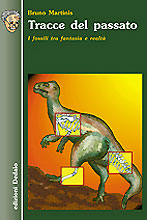 Tracce del passato