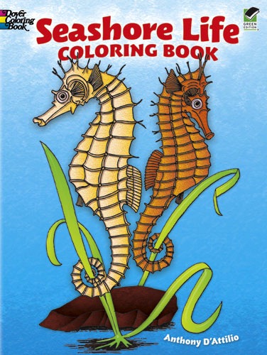 Seashore life coloring book