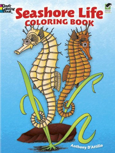 Seashore life coloring book