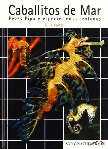 Caballitos de mar peces Pipa y especies emparentadas