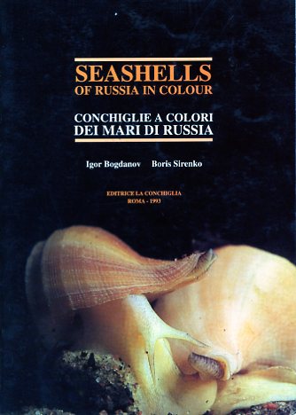Seashells of Russia in colour
