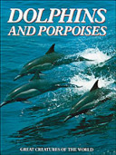 Dolphins and porpoises