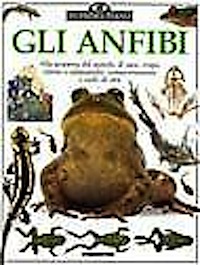 Anfibi