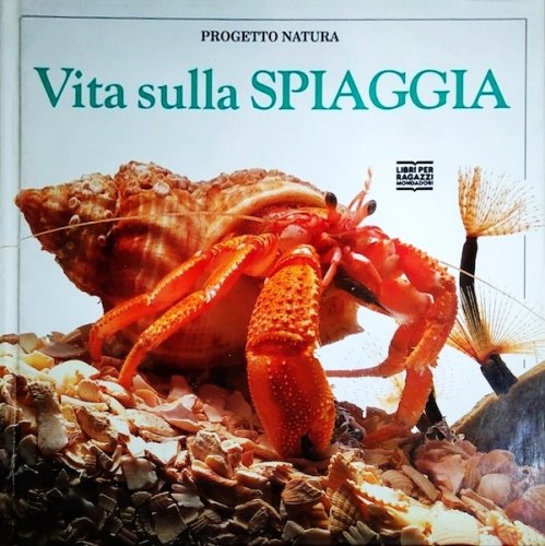 Vita sulla spiaggia