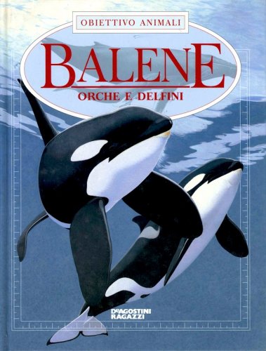 Balene orche e delfini