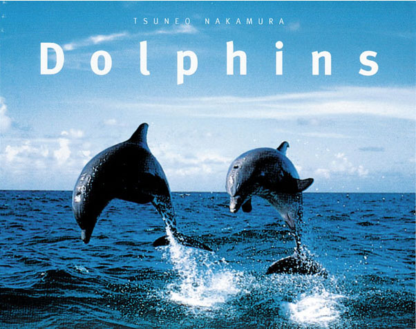 Dolphins