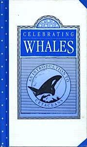 Celebrating whales