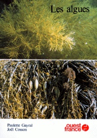 Algues