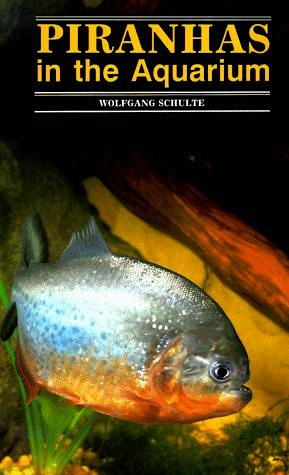 Piranhas in the aquarium