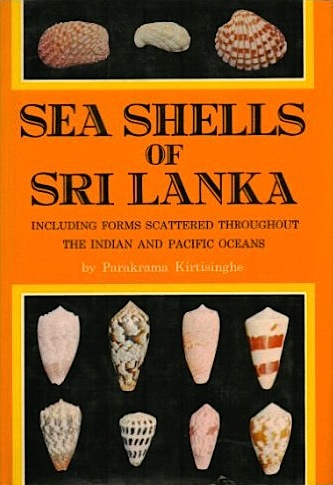 Seashells of Sri Lanka