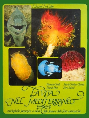 Vita nel Mediterraneo