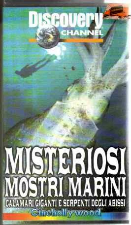 Misteriosi mostri marini