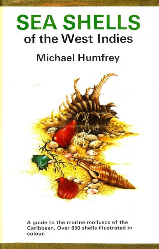 Sea shells of West Indies