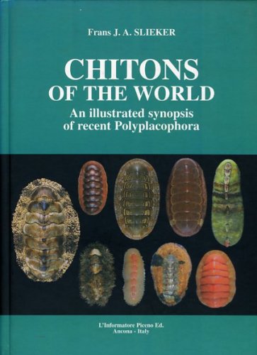 Chitons of the world